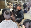반려동물 기초훈련 심화 프로그램 2회차