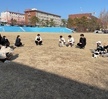 2023학년도 1학기 신입생들의 반려동물행동교정학 첫 수업!
