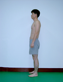 바로선자세의 측면