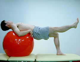 공을 이용한 복근 강화 운동 2