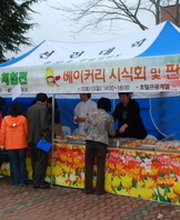 튤립축제 시식회