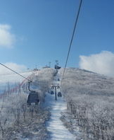 봄 답사 겸 학과 M.T 6