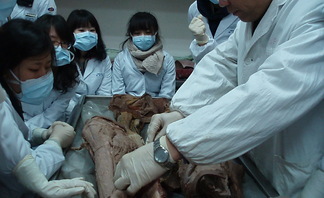 2009 간호과 해외 현장..