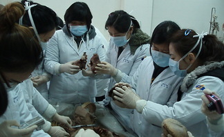 2009 간호과 해외 현장..