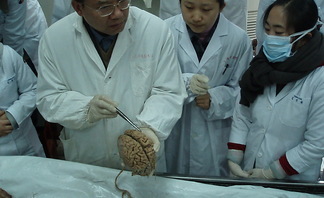 2010 간호과 해외 현장..